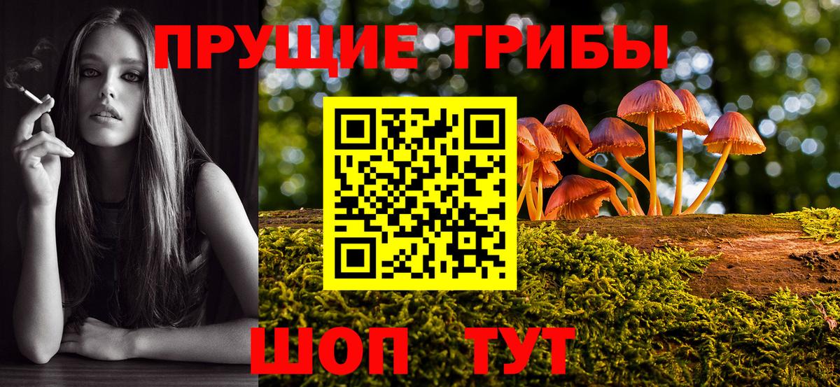 Галлюциногенные грибы Cubensis Химки
